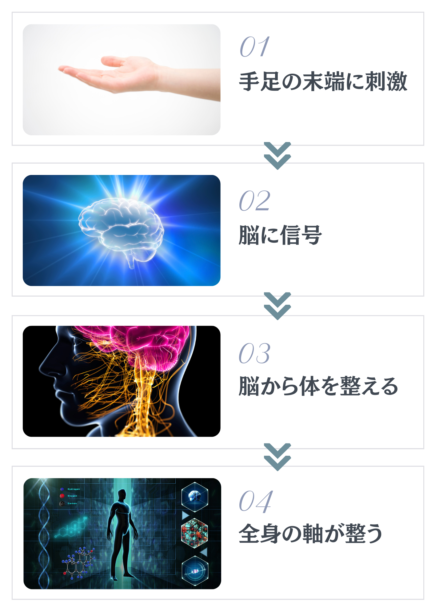 手足の末端に刺激、脳に信号、
脳から体を整える、全身の軸がととのう